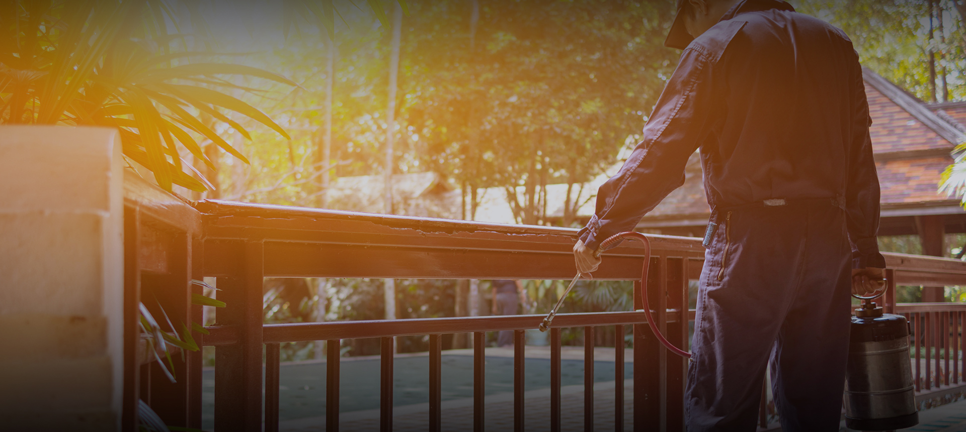 WDI / WDO Inspections